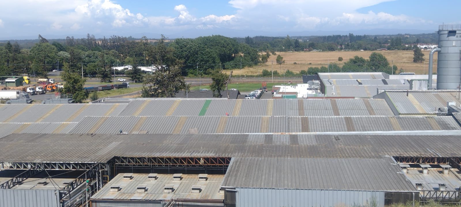 Planta productiva